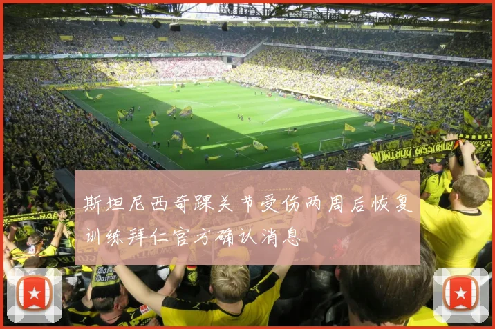 斯坦尼西奇踝关节受伤两周后恢复训练拜仁官方确认消息