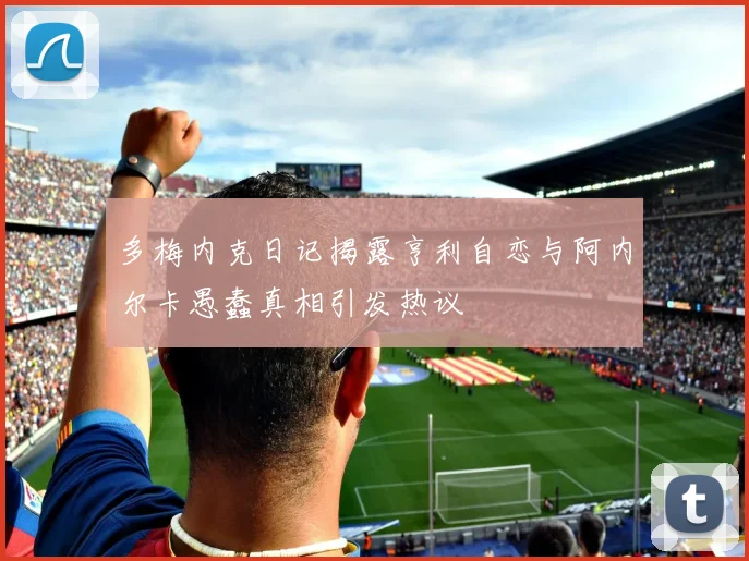 多梅内克日记揭露亨利自恋与阿内尔卡愚蠢真相引发热议