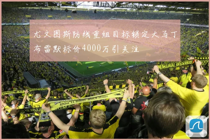 尤文图斯防线重组目标锁定大马丁布雷默标价4000万引关注